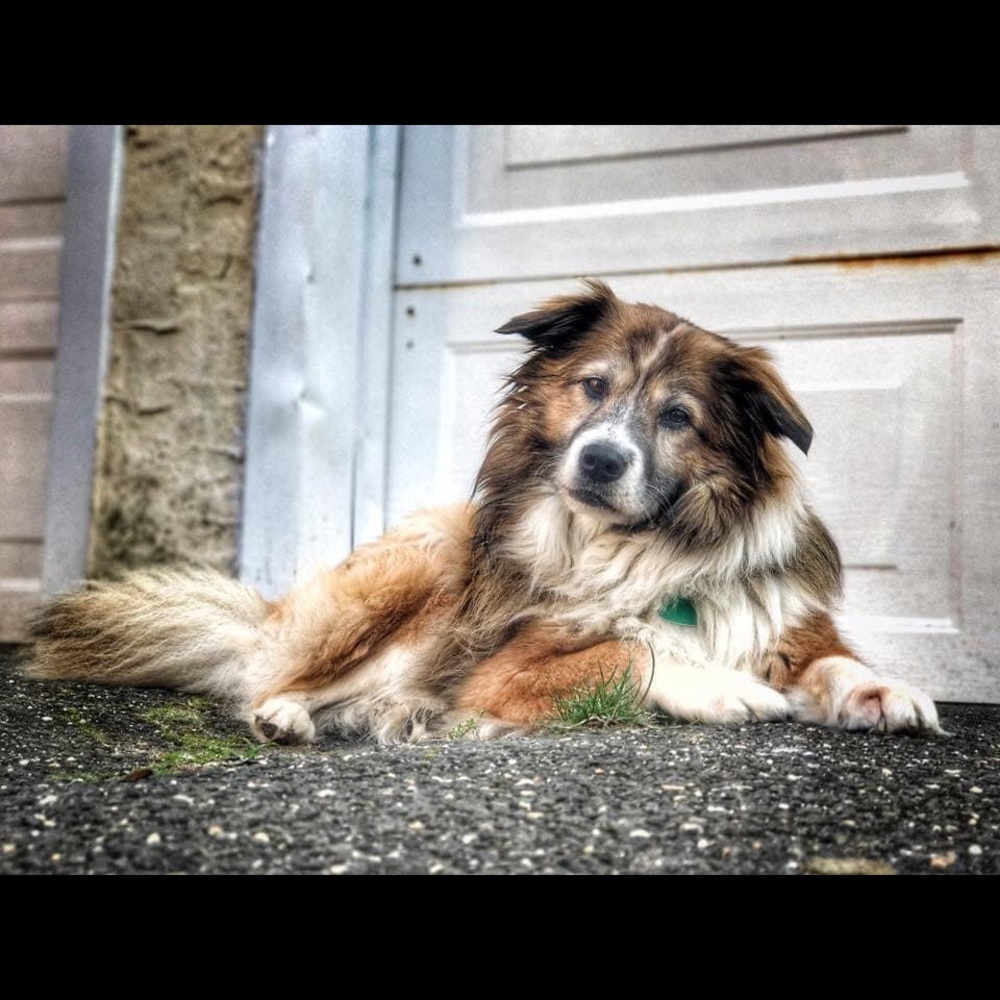 Meet the Posher